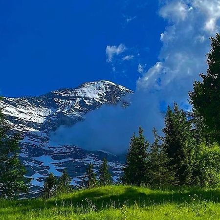 Romantisches Plaetzchen In Der Natur Гриндельвальд Экстерьер фото