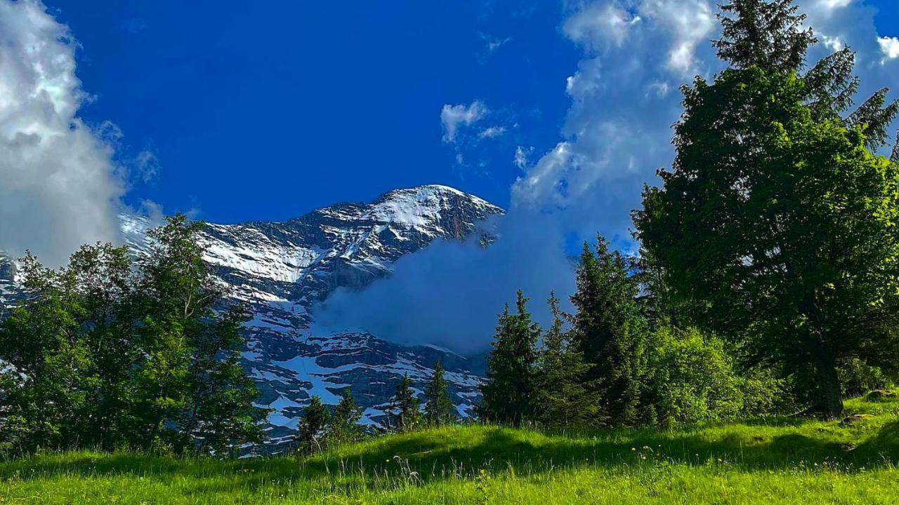 Romantisches Plaetzchen In Der Natur Гриндельвальд Экстерьер фото