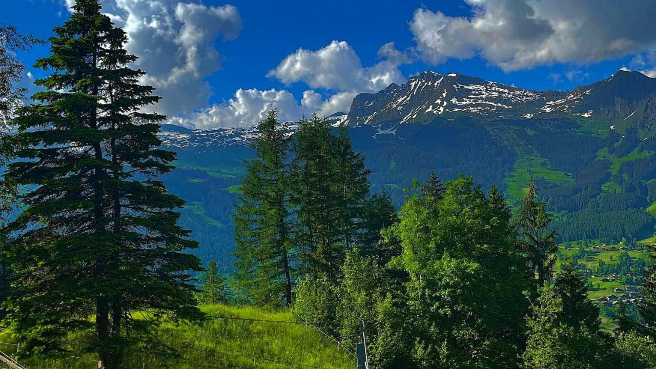 Romantisches Plaetzchen In Der Natur Гриндельвальд Экстерьер фото